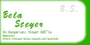 bela steyer business card